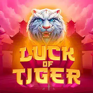 Playmojo Luck of Tiger